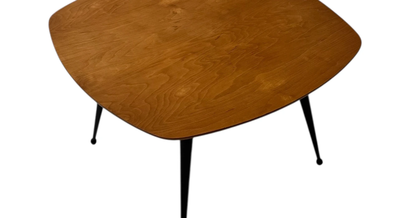 Mid-Century Modern TB16 Coffee Table by Cees Braakman for Pastoe, 1953